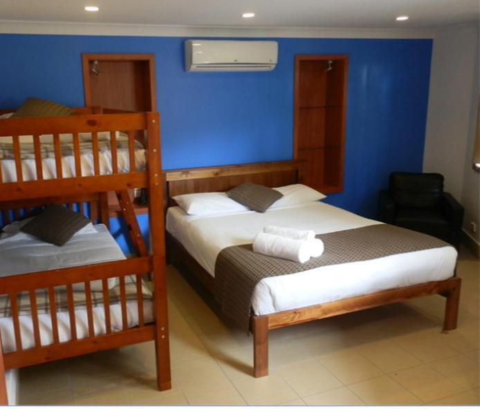 Koala Tree Motel Port Macquarie Oda fotoğraf