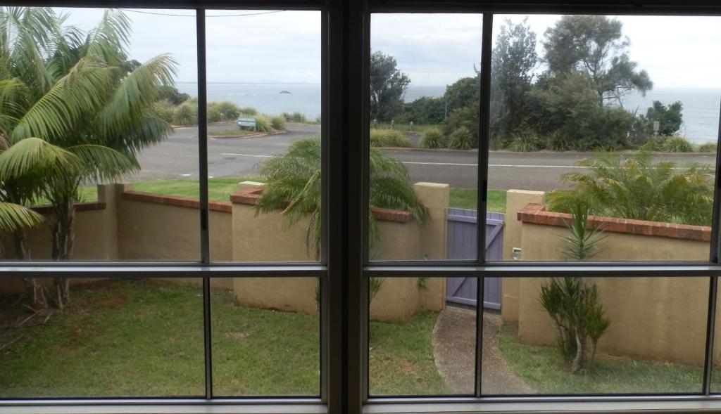 Koala Tree Motel Port Macquarie Oda fotoğraf