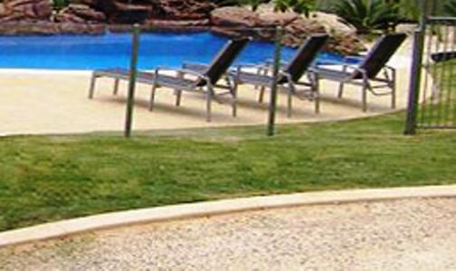 Koala Tree Motel Port Macquarie Dış mekan fotoğraf